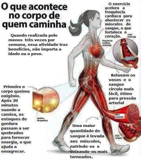 Dia do Desporto Nacional