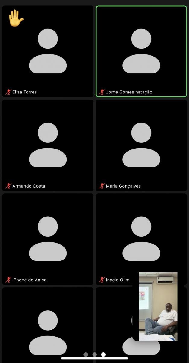 11º AGE AAOA Participantes Online e PMAG