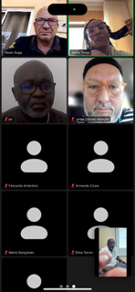 11º AGE AAOA Participantes Online e PMAG 1