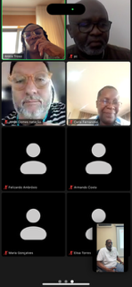 11º AGE AAOA Participantes Online e PMAG 2